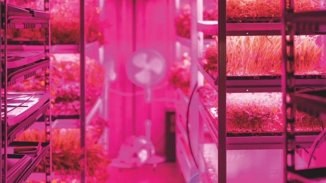 bever innovations leaft carrier